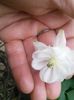 IMG_20150516_153941