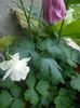 IMG_20150516_153831