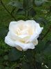 IMG_20150823_170036