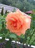 IMG_20150823_172946