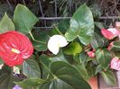 20150822_183910