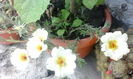 IMG_20150809_172119