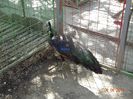 DSC01280