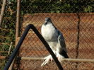 DSCN0873