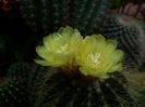 20150822_155402