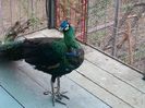 20150429_105728