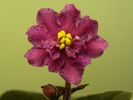 P1200747