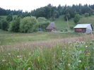 IMG_0050