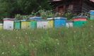 20150620_111407