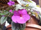 20150822_155555