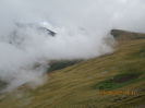 IMG_8351