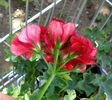 IMG_20150823_133027-1