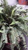 20150821_105752