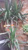 20150821_105318