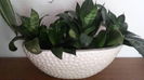 20150821_105400