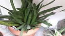 20150821_105000