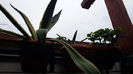 20150821_104935