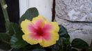 20150825_185844