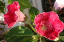IMG_5856