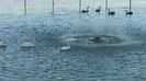 20150815_173733