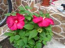 IMG_20150826_085403