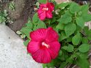 IMG_20150826_085349