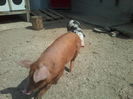 Photo-0254