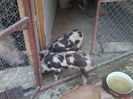 Photo-0248