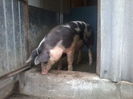 Photo-0062