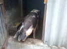 Photo-0060