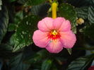 DSC03273