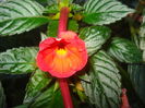 DSC03275