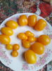 5 soiuri de rosii cherry galbene