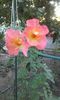 20150826_192100