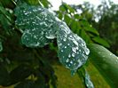 DSC09845