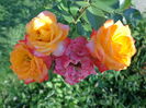 DSC09671