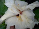 SAM_9079