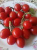rosii cherry cu mot:)