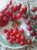 3 soiuri rosii cherry