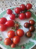 4 soiuri rosii cherry