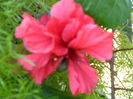 SAM_9005
