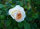 P1200176