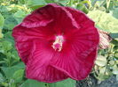 IMG_20150826_073401