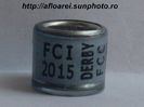 fcc fci derby 2015