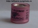 royaume maroc 2011 roz