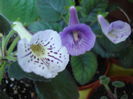 DSC03312
