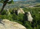 DSCN6029