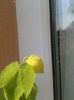 20150816_104920