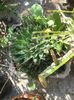 20150816_105124