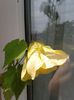 20150822_114130
